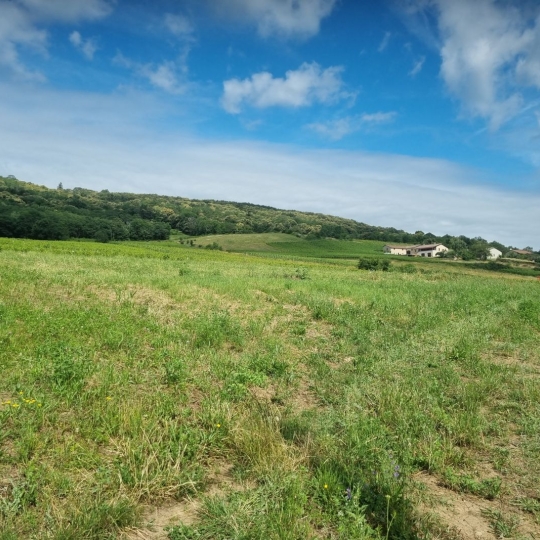  Annonces BEAUJOLAIS : Terrain | CHASSELAS (71570) | 0 m2 | 158 000 € 