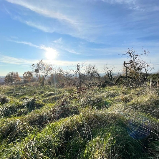  Annonces BEAUJOLAIS : Ground | CHARNAY-LES-MACON (71850) | 0 m2 | 290 000 € 