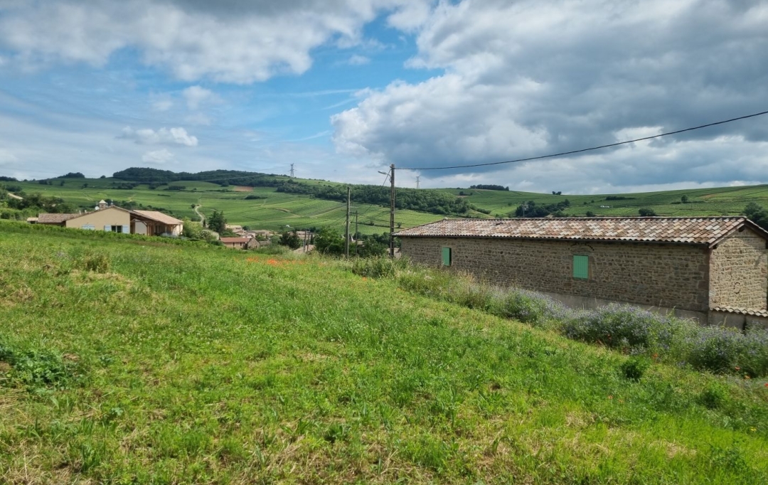 Annonces BEAUJOLAIS : Terrain | CHASSELAS (71570) | 0 m2 | 158 000 € 