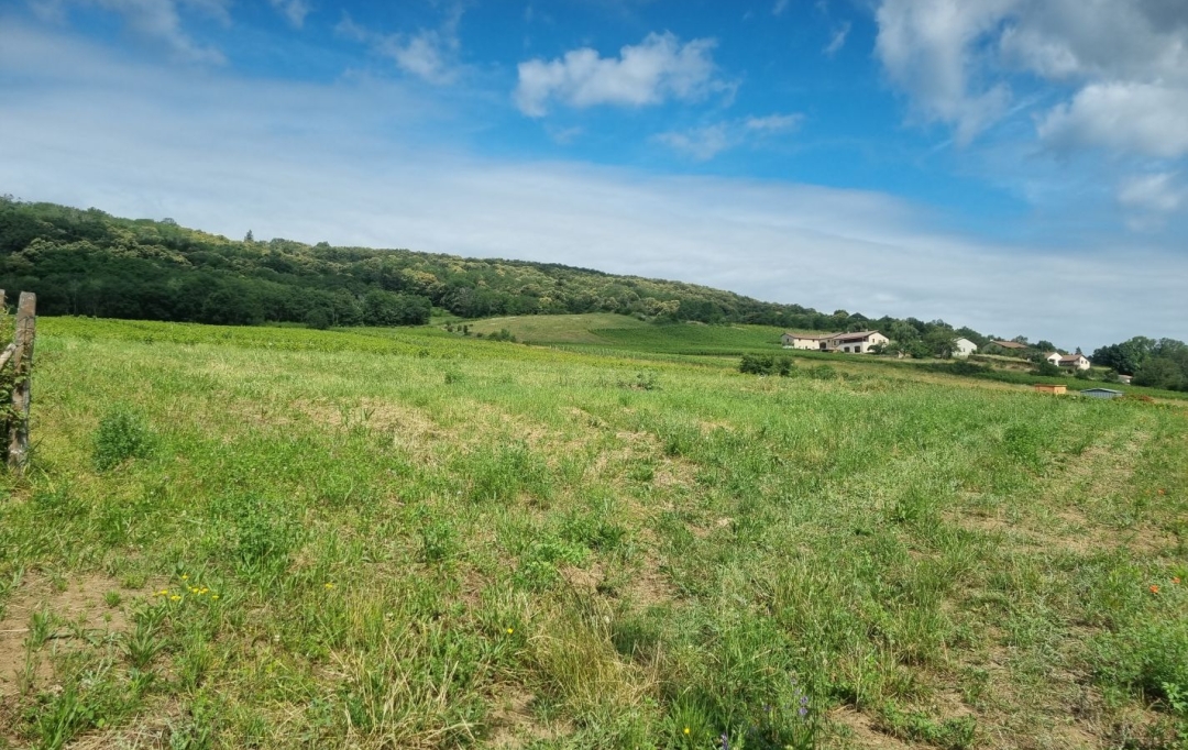 Annonces BEAUJOLAIS : Terrain | CHASSELAS (71570) | 0 m2 | 158 000 € 